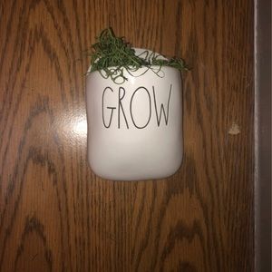 Rae Dunn Grow Wall Planter